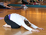 yoga basic